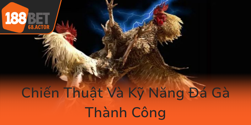 Đá Gà 188BET - Trận Đấu Đỉnh Cao Tại Nhà Cái Uy Tín Số Một Việt Nam 3 Chien Thuat Va Ky Nang Da Ga Thanh Cong0