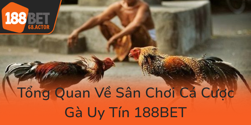 Đá Gà 188BET - Trận Đấu Đỉnh Cao Tại Nhà Cái Uy Tín Số Một Việt Nam 1 Tong Quan Ve San Choi Ca Cuoc Ga Uy Tin 188Bet0