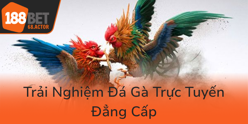 Đá Gà 188BET - Trận Đấu Đỉnh Cao Tại Nhà Cái Uy Tín Số Một Việt Nam 2 Trai Nghiem Da Ga Truc Tuyen Dang Cap0